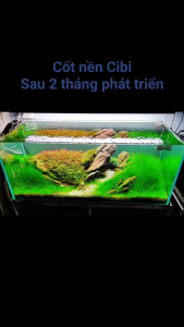 Cốt nền thủy sinh siêu dinh dưỡng CIBI AQUA dễ sử dụng cho mọi phong cách hồ