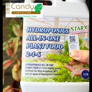 (SG Seller) Hydroponics All-In-One Plant Food 1 liter NPK 2+1+6 (STARX)