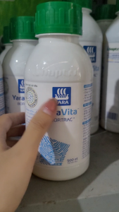BOTRAC [YARA] tăng thụ phấn và chống rụng  rau màu và cây ăn trái kích lúa trổ đồng loạt hạn chế nghẹn đòng và lép