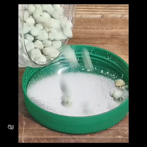 Ferrous Sulphate 500g 硫酸亚铁 (N74096)