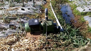 Shimizu Pompa Air Otomatis Jet Pump - PC375BIT - FREE ONGKIR Jabodetabek