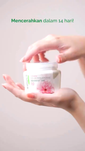 Shinzui Body Scrub 120 g (Kecil) & 200g (Besar) - Lulur Badan Shinzui Skin Lightening Body Scrub