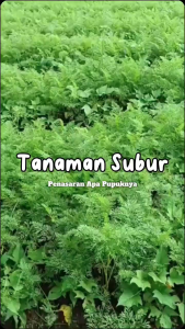 Pupuk Green Tonik 5 Liter - Pupuk Cair Green Tonik 5 Liter