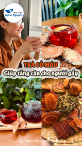 Trà cỏ máu mix vị giúp bổ huyết tăng cân điều hòa kinh nguyệt giảm đau xương khớp - Thảo Dược Hạnh Nguyên
