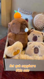 Set Quà Sinh Nhật Capybara LINDO Quà Tặng Bạn Gái Các Dịp Đặc Biệt 8/3 20/10 14/2 Capybara Cute