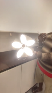 Ceiling Fan Light With Remote Control 2 in1 E27 Fan Blade Bulb LED lights Interface Bedroom Silent Fan Light Chandelier