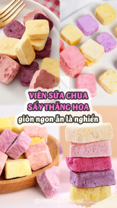 Sữa chua sấy thăng hoa 100g ít đường vị trái cây tự nhiên mix nhiều vị - Chợ Thảo Dược Việt