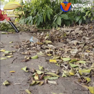 เครื่องเป่าลม ดูดฝุ่น รุ่นเทอโบ คู่ แบตเตอรี่ 199V แถมฟรี 2 ก้อน คุ้มจัด แรงจัด