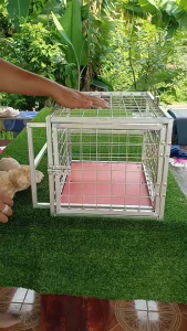 กรงบังคับฉีดยาแมว ใช้พยาบาลแมว หรือ สัตว์ใด้หลายชนิดใช้งานง่ายโครงสร้างแข็งแรงใช้งานได้นานหลายปี กว้าง 32 เซน ยาว 45 เซน สูง 30 เซน มีหูจับกรงให้ด้วยเพื่อความสะดวกในการใช้งาน และ มีแผ่นรองพื้นให้ด้วนแพื่อป้องกันขาแมวตกช่องตาข่ายใช้งานได้ดี