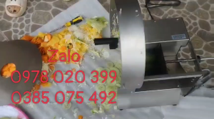 Máy cắt lát củ quả chạy điện