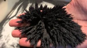 Magnetic Iron Filing 100grams 500grams