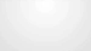 J.LD 12PCS CRV Ratchet Socket Wrench Set: A Comprehensive Guide