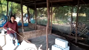 อาหารหมู DMOLT PLUS ดีมอลต์ พลัส