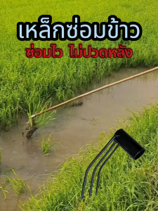 เหล็กซ่อมข้าว เหล็กย้ายข้าว ซ่อมข้าวที่ไม่ขึ้นข้าวออกรวงสม่ำเสมอ ใช้กับด้ามขนาด 1 นิ้ว