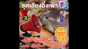 USB เสียงอึ่งเพ้าเปิดยาว ๆ มีไฟล์เสียง MP3 ยาว 6 ช.ม. 2 ไฟล์