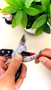 Dụng cụ làm vườn đáng tin cậy Đá mài thép hợp kim để sử dụng lâu dài