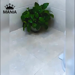 Máy giặt mini Achita G60 xoay vắt bằng tay làm sạch mọi vết bẩn và bảo vệ sợi vải máy vắt quần áo tay quay thủ công vắt kiệt nước phù hợp cho không gian nhỏ shop Mania