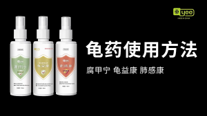 Yee Turtle Turquoise Medicine for Skin And Nails Eyecare Nasal Disinfectants Deodorizer First Aid Health Medical Aid