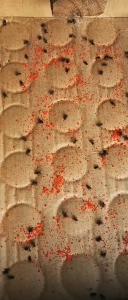 🚚ส่งจากไทย🚚[1 กล่อง (25 ซอง)] ผงไข่เน่า เหยื่อกำจัดแมลงวัน ฆ่าแมลงวันขั้นเทพ ใช้ฆ่าแมลงวันบ้าน ตราไก่