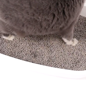 12 liter Pesona Pasir Kucing Gumpal Wangi Lavender Free Serokan Kucing 6 Liter