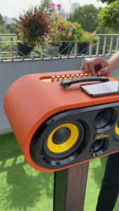 Loa Xách Tay DK11Pro 3 Đường Tiếng 2 Bass 16 Công Suất Lớn Thiết Kế Hình Bầu Dục Đường Cong Mềm Chính Hãng MTMAX