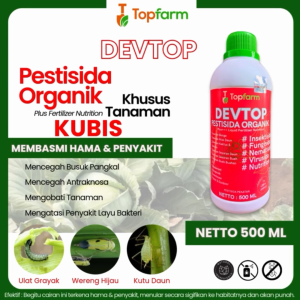 Obat Ulat Pada Kubis / Obat Hama Ulat Kubis / Insektisida Untuk Kubis / Insektisida Ulat Kubis / Obat Ulat Tanaman Kubis Kol / Obat Ulat Pada Tanaman Kubis / Obat Ulat Tanaman Kubis / Obat Kubis