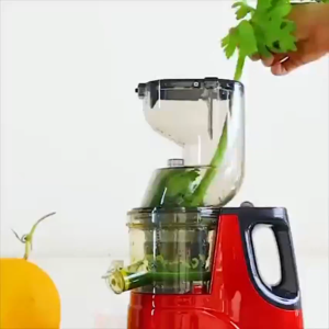 Máy ép chậm nguyên quả HONGXING RH312