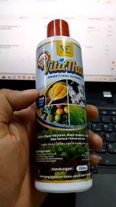 BAJA VITAMIN SIAM |250 ML| Baja Viral Dari Thailand Pati Origin (bancuh Sendiri)
