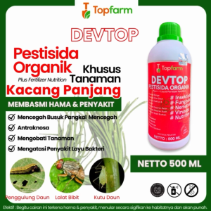 Obat Hama Kacang Panjang & Pengendalian Hama