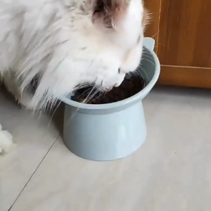Bekas Makanan Kucing Tilt Pet Bowl Cat Bowl Mangkuk Pet Food Bowl Cat Food Bowl Nordic Style
