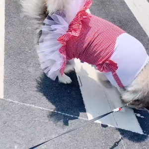 Plaid Dog Clothes: A Fashionable Choice for Your Pet