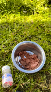 Obat Flu Kucing - Kapsul Flu Anabul Pilek Ingusan Bersih Ampuh