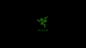 Razer Hammerhead Pro V2 3.5mm Wired In Ear Bass Earbuds Gaming Headset Earphone For Phone