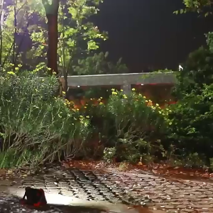 Đèn Năng Lượng Mặt Trời Đèn Tích Điện Đèn Pha Chiếu Sáng Cảnh Báo Dã Ngoại Sạc Lại Bằng USB Kháng Nước Chống Va Đập 5W