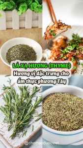 Lá xạ hương 500g thyme lá thơm xạ hương và 20 loại gia vị tự chọn tẩm ướp thịt chế biến món ăn