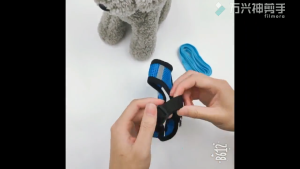 Pet Harness with Leash Lead Set: A Comprehensive Guide