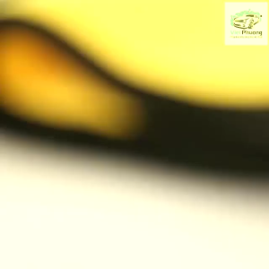 KHĂN VÀNG CHUYÊN LAU XE HƠI 30X30CM