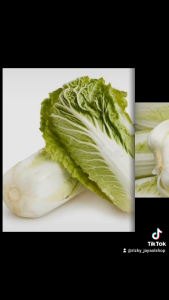 benih sawi leony-cap panah merah