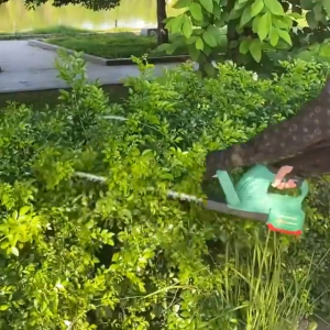 Máy cắt tỉa hàng rào cắt cây cảnh WORKFIX Chính hãng - Động cơ lõi đồng 100% - chân pin phổ thông 4cm