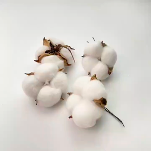 (SG Seller) 5 Pairs Children Socks Cotton Boys Girls Socks Kids Cartoon Dinosaur Unicorn Socks Summer Mesh Type Thin Socks