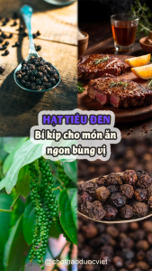 Hạt tiêu đen 100g hạt tiêu khô thơm cay nồng gia vị tẩm ướp chế biến món ăn pha nước chấm
