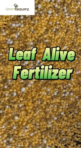 GHZ - 1KG LeafAlive Green Plant Slow Release Fertilizer OEM Baja Perlepasan Perlahan Pokok Hijau 控释肥