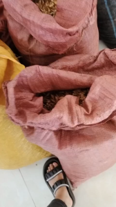 Củ Ngải Mọi hàng củ tươi mới thu hoạch 500g