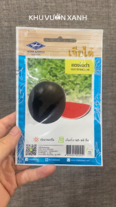 Hạt giống Dưa hấu vỏ Đen ruột Đỏ - Gói 15gr khoảng 45 hạt - Nhập Thái Lan