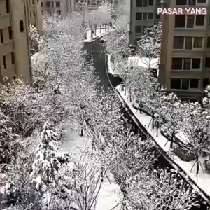 Insole Foot Warmer 2pack Penghangat Kaki Heat Pack Sepatu Pria Sepatu Wanita