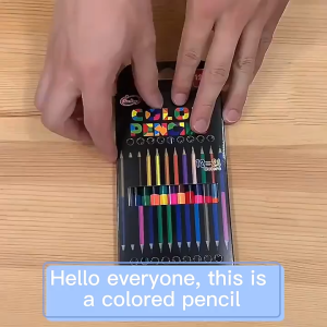 Rex TT 12ชิ้น/ชุด ดินสอสีสองหัว 24สี สำหรับเด็ก ปลอดสาร มีวันหมดอายุ