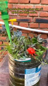 Vòi Tưới Cây Nhỏ Giọt - Hệ thống tưới nước nhỏ giọt tự động xoay 360 độ Van tưới nước nhỏ giọt tự động thông minh dùng cho cây hoa gia đình