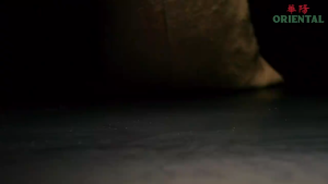 Oriental Drip Coffee and Products 华阳品味级黑咖啡