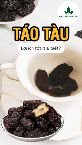 Táo tàu 1kg táo đen sấy dẻo dày thịt thơm ngon không tẩm đường rất tốt cho người lớn và trẻ nhỏ