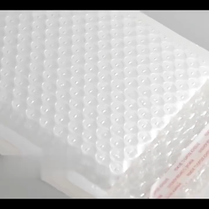 Bubble Envelope Courier Bag (White Colour) Parcel Bag With Bubble Wrap Mailer Padded Envelope 白色气泡袋